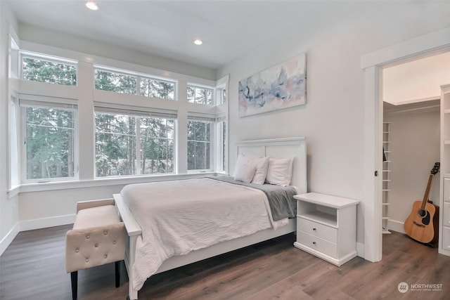 bedroom with a spacious closet and dark hardwood / wood-style flooring