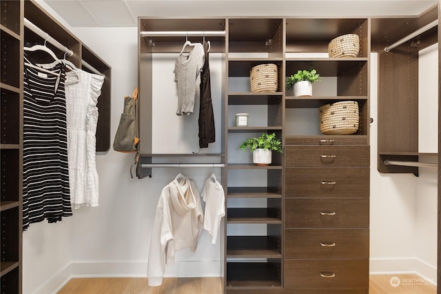 walk in closet featuring light hardwood / wood-style floors