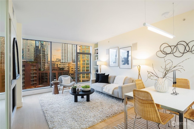 living room featuring light hardwood / wood-style floors