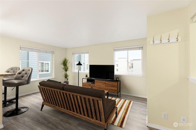 living room featuring hardwood / wood-style floors