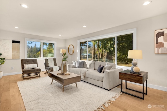 living room with plenty of natural light and light hardwood / wood-style flooring