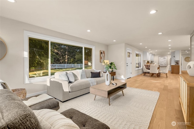 living room featuring light hardwood / wood-style floors