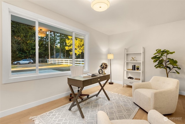 office with hardwood / wood-style flooring