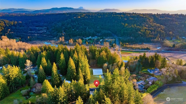 birds eye view of property featuring a mountain view