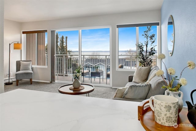 sitting room with carpet, a baseboard radiator, and plenty of natural light