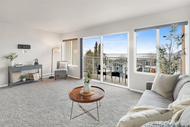 living room featuring carpet flooring