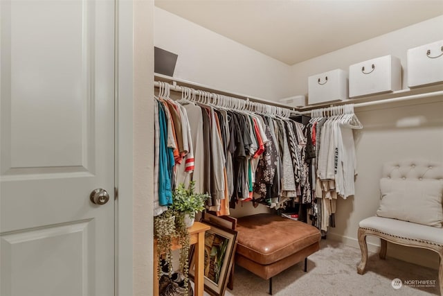 walk in closet with carpet