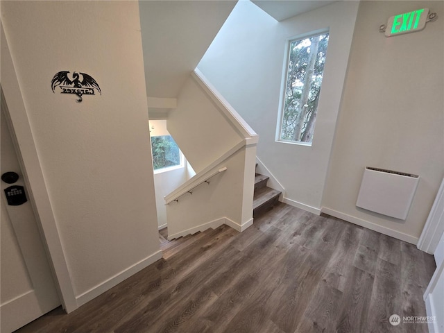 stairs with wood-type flooring and plenty of natural light