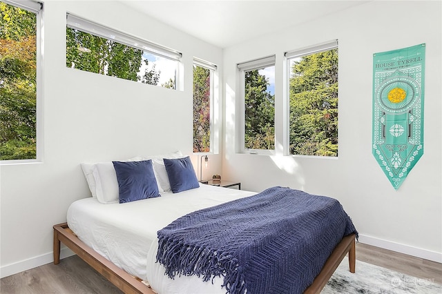 bedroom with hardwood / wood-style flooring