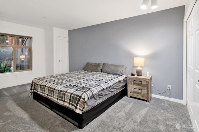 bedroom with a closet and carpet flooring