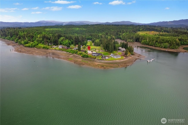 4030 Kamilche Point Rd, Shelton, WA 98584 - aerial view of a forest and a water and mountain view