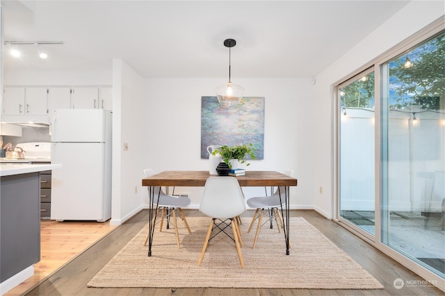 dining space featuring light hardwood / wood-style floors