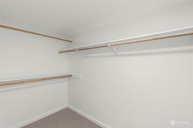 spacious closet with carpet floors