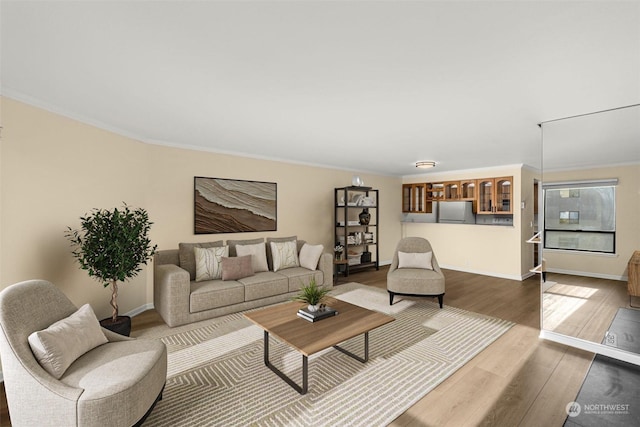 living room with hardwood / wood-style floors and ornamental molding