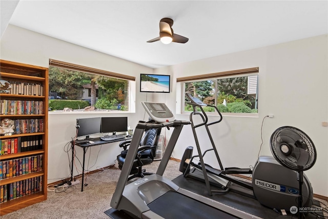 exercise area featuring ceiling fan and carpet