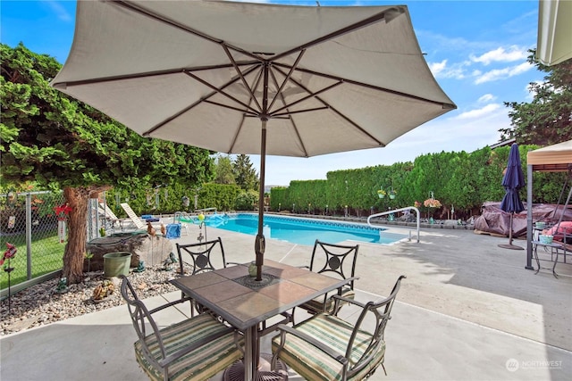 view of pool featuring a patio