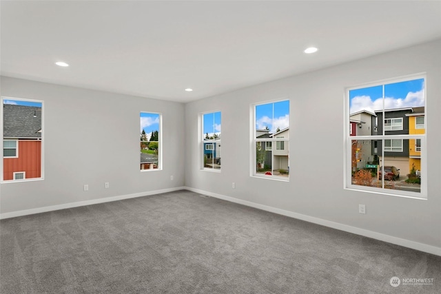 empty room with carpet flooring and plenty of natural light