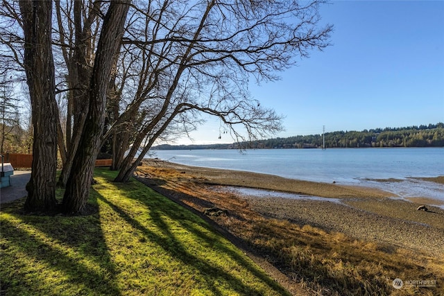 property view of water