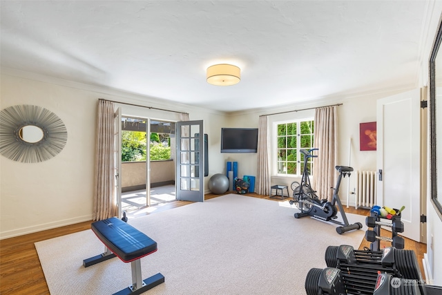 exercise room with a wealth of natural light, wood-type flooring, ornamental molding, and radiator heating unit