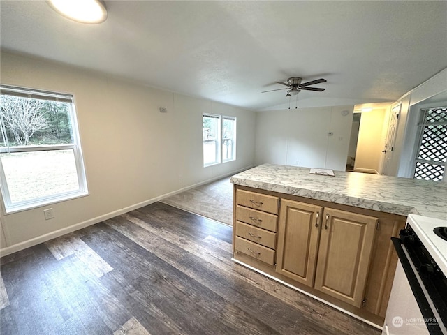 kitchen with ceiling fan, range, and dark hardwood / wood-style flooring