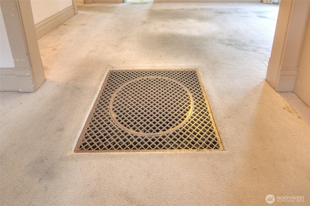 room details with carpet floors