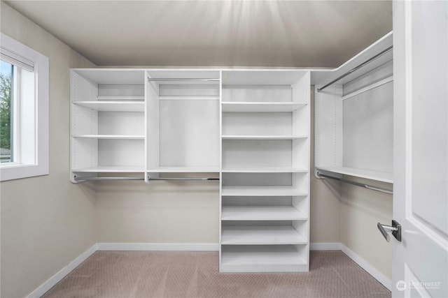 spacious closet featuring light colored carpet