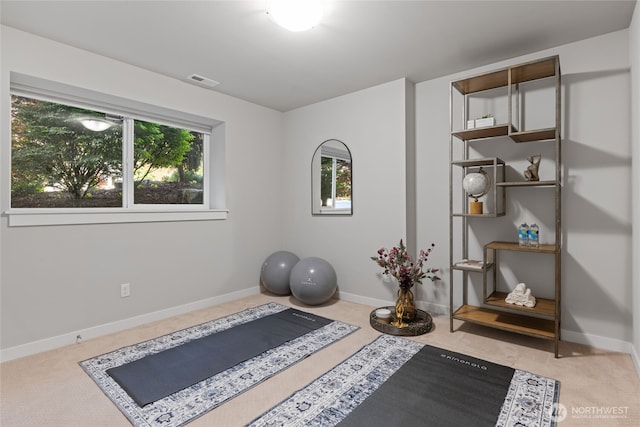 workout room with plenty of natural light, carpet, baseboards, and visible vents