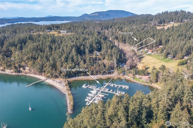drone / aerial view featuring a view of trees and a water and mountain view