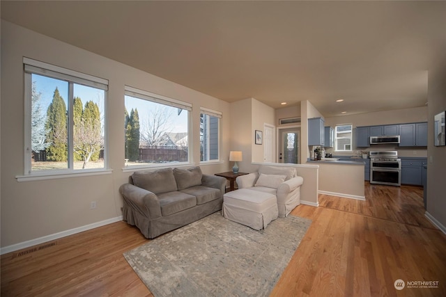 living room featuring a wealth of natural light and light hardwood / wood-style floors