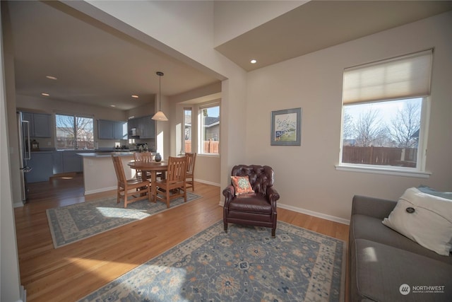 living room with dark hardwood / wood-style floors