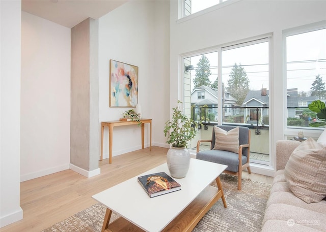 living room featuring a towering ceiling and light hardwood / wood-style floors