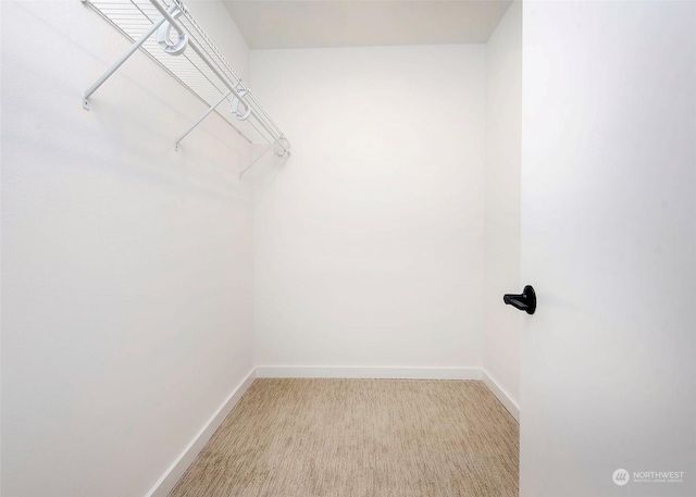 walk in closet with light carpet