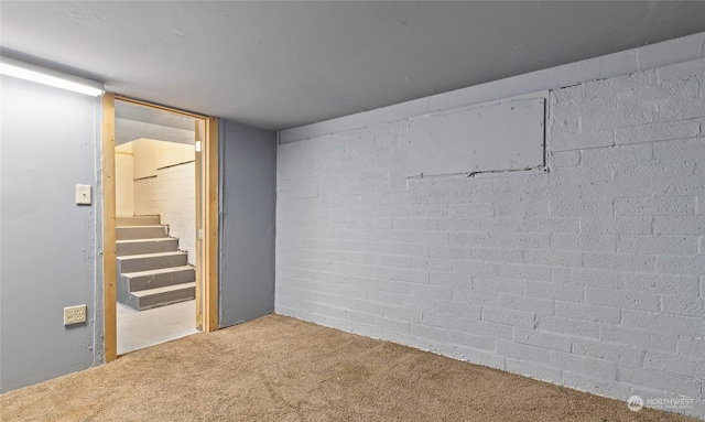 basement with carpet