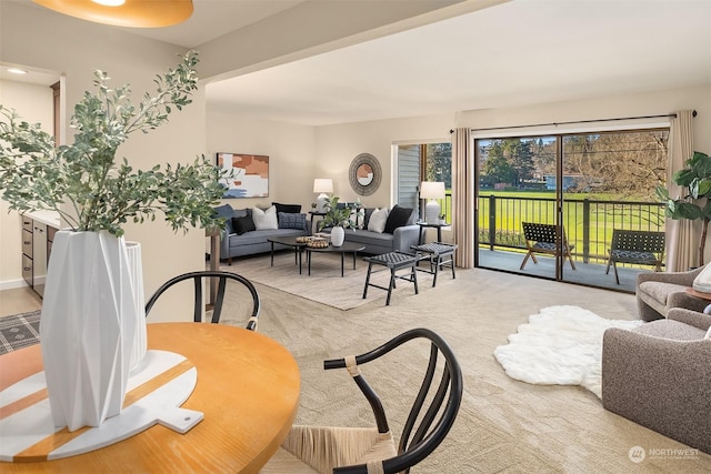 living room featuring light colored carpet