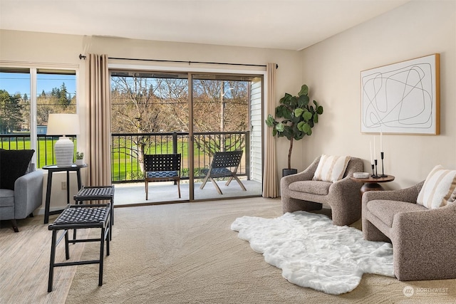 interior space featuring a wealth of natural light