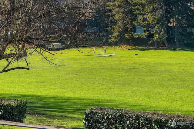 surrounding community featuring a yard