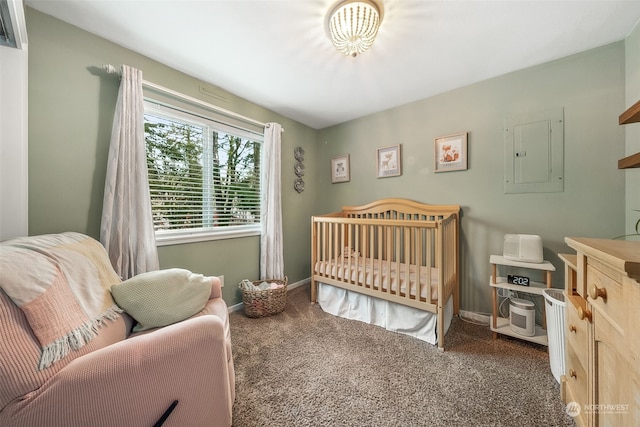 bedroom featuring carpet and electric panel