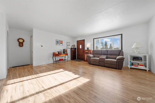 living room featuring light hardwood / wood-style flooring