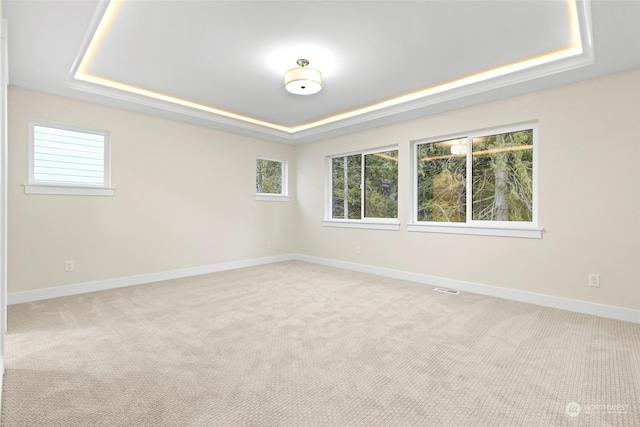 empty room with carpet floors and a raised ceiling