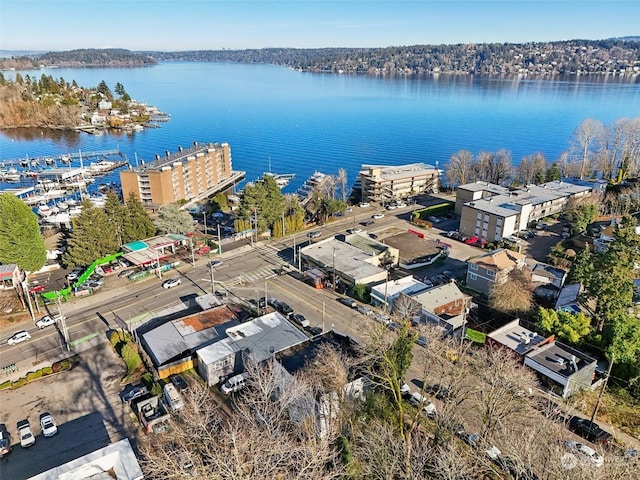 birds eye view of property with a water view