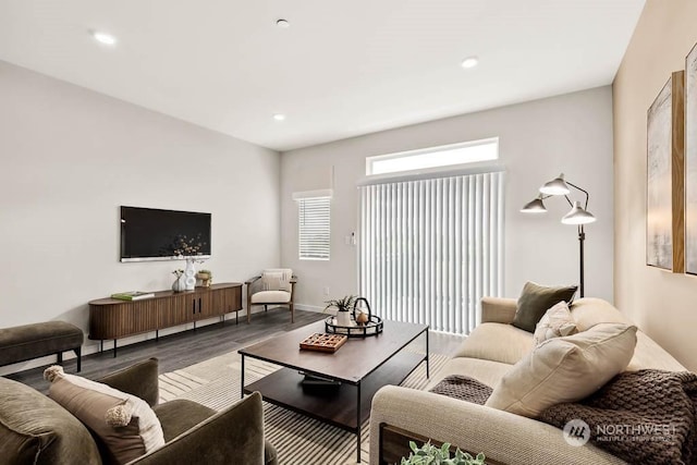 living room featuring hardwood / wood-style flooring