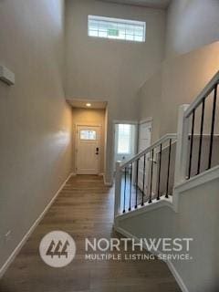 foyer with a high ceiling and hardwood / wood-style flooring