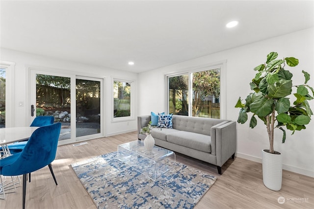 living room featuring light wood-type flooring