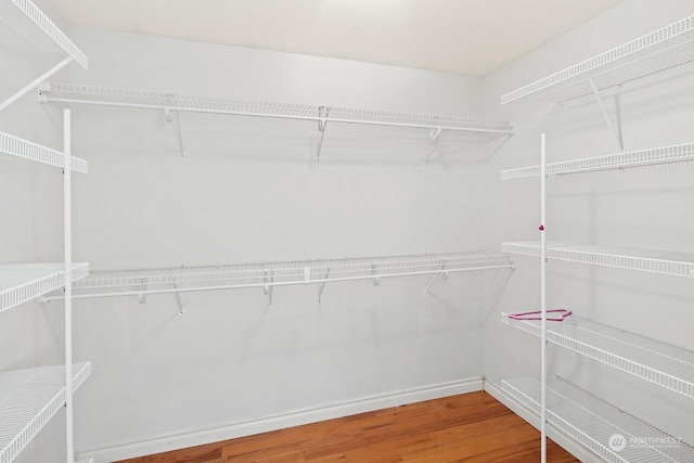 walk in closet with hardwood / wood-style floors