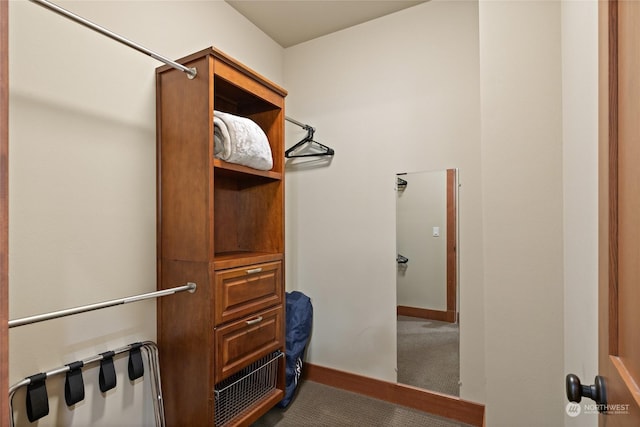 walk in closet featuring carpet