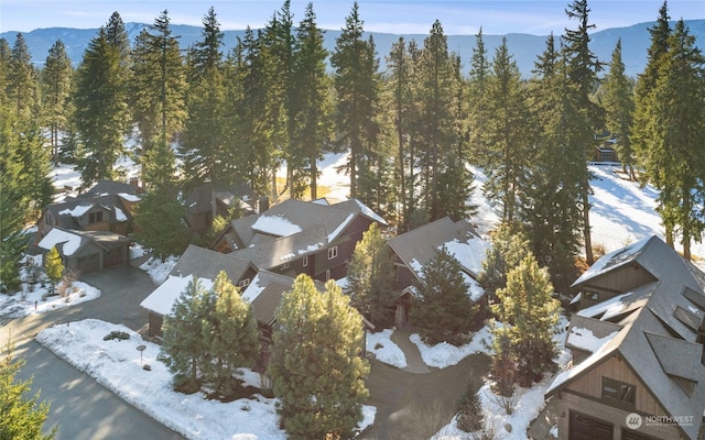 snowy aerial view featuring a mountain view