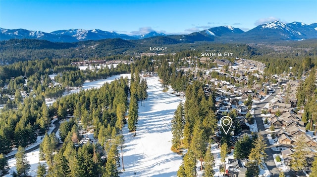 birds eye view of property featuring a mountain view