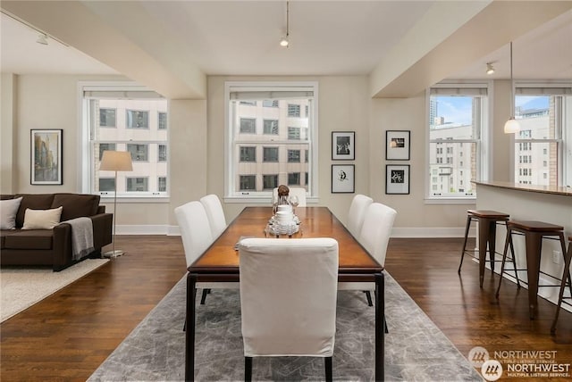 dining room featuring rail lighting and dark wood-type flooring