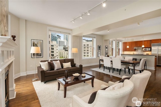 living room featuring rail lighting and dark hardwood / wood-style floors