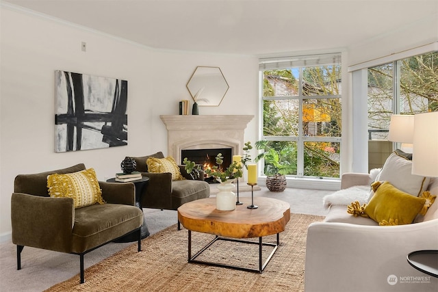 living area featuring carpet floors and ornamental molding